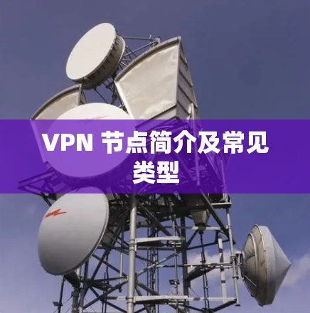 VPN 节点简介及常见类型