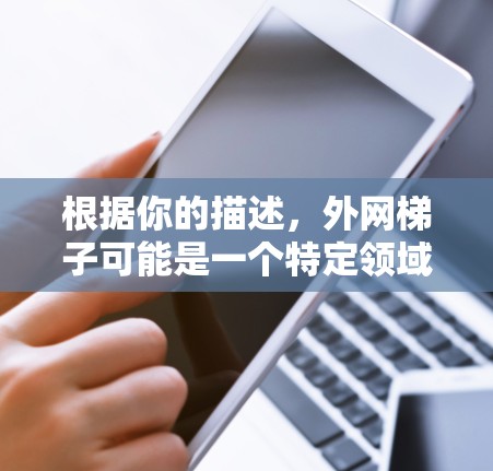 根据你的描述，外网梯子可能是一个特定领域术语，具体含义取决于上下文。以下是一些可能的解释