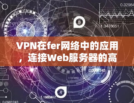VPN在fer网络中的应用，连接Web服务器的高效安全选择