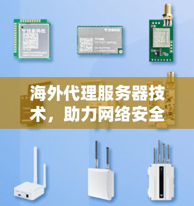 海外代理服务器技术，助力网络安全的未来