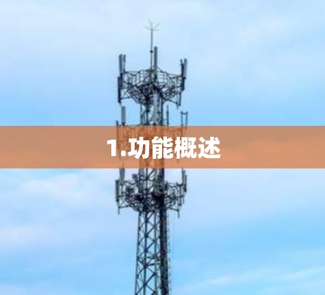 1.功能概述
