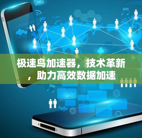 极速鸟加速器，技术革新，助力高效数据加速