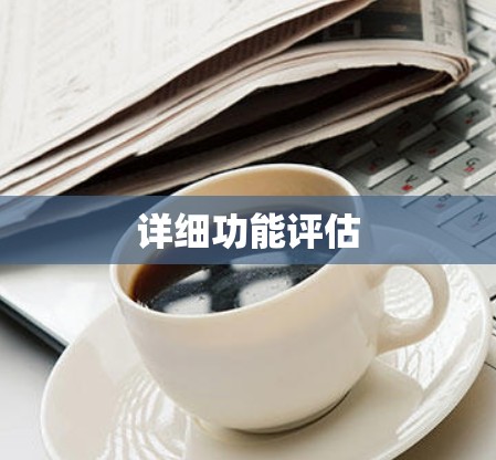 详细功能评估