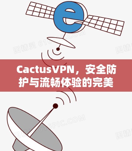 CactusVPN，安全防护与流畅体验的完美结合