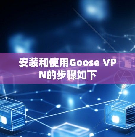 安装和使用Goose VPN的步骤如下