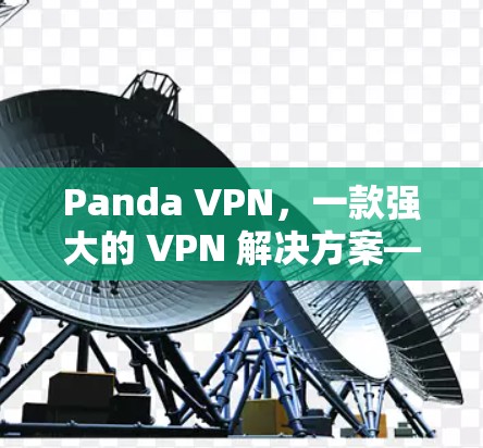 Panda VPN，一款强大的 VPN 解决方案—功能对比分析