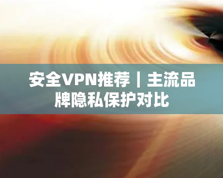 安全VPN推荐｜主流品牌隐私保护对比