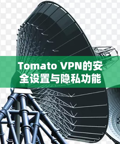 Tomato VPN的安全设置与隐私功能解析