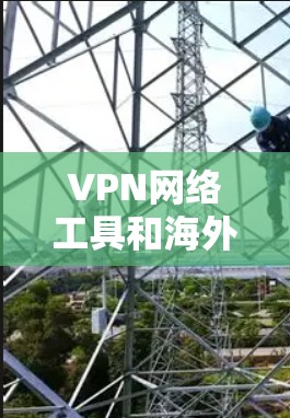VPN网络工具和海外访问方案的分析是基于多种因素的综合评估，包括技术、安全性和用户体验。以下是对 VPN 网络工具及其海外访问方案的分析