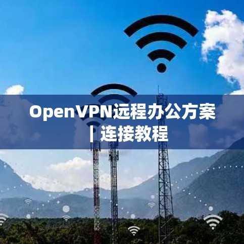 OpenVPN远程办公方案｜连接教程