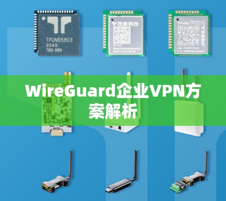 WireGuard企业VPN方案解析