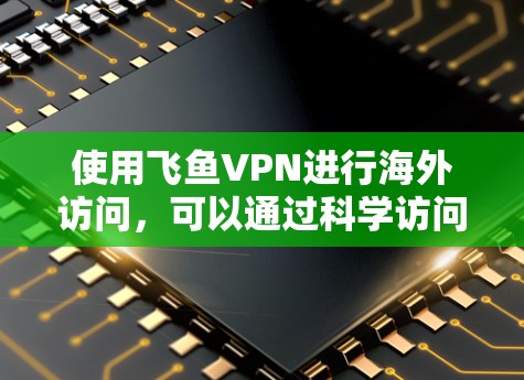 使用飞鱼VPN进行海外访问，可以通过科学访问方式实现安全、可靠且符合当地法律法规的访问。以下是一个科学访问方案，涵盖如何选择VPN服务、设置访问权限、监控和管理、数据安全与隐私保护等方面