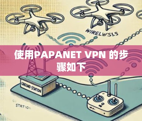 使用PAPANET VPN 的步骤如下