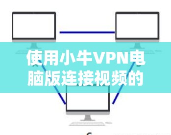 使用小牛VPN电脑版连接视频的步骤如下