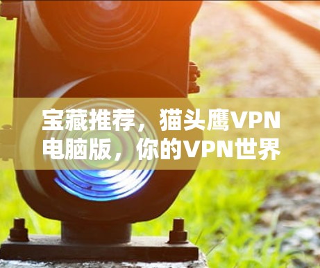 宝藏推荐，猫头鹰VPN电脑版，你的VPN世界必备！