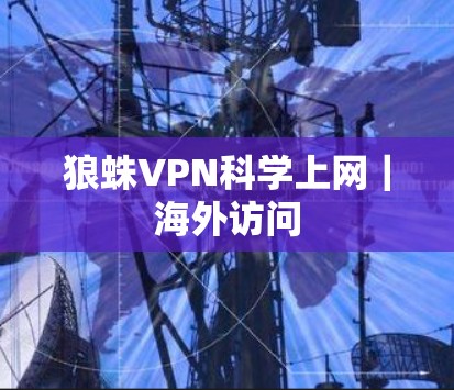 狼蛛VPN科学上网｜海外访问
