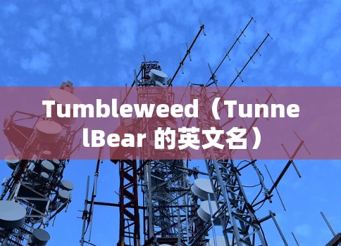 Tumbleweed（TunnelBear 的英文名）
