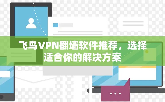 飞鸟VPN翻墙软件推荐，选择适合你的解决方案
