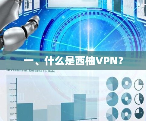 一、什么是西柚VPN? 一、什么是西柚VPN?