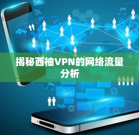 揭秘西柚VPN的网络流量分析 揭秘西柚VPN的网络流量分析