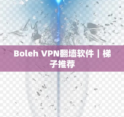 Boleh VPN翻墙软件｜梯子推荐
