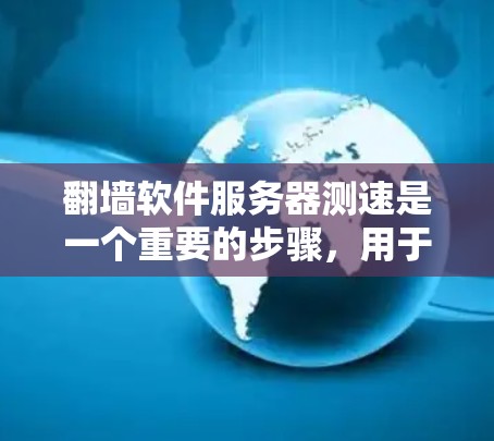 翻墙软件服务器测速是一个重要的步骤,用于评估服务器在处理流量时的性能。以下是一个详细且结构化的总结,帮助您更好地理解和执行该过程 翻墙软件服务器测速是一个重要的步骤,用于评估服务器在处理流量时的性能。以下是一个详细且结构化的总结,帮助您更好地理解和执行该过程
