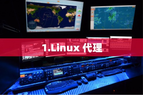 1.Linux 代理