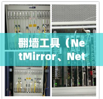 翻墙工具（NetMirror、NetBuster等）是帮助用户轻松绕过防火墙、防火墙检测工具的实用工具。以下是对这些工具的真实体验分享