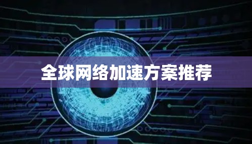 全球网络加速方案推荐