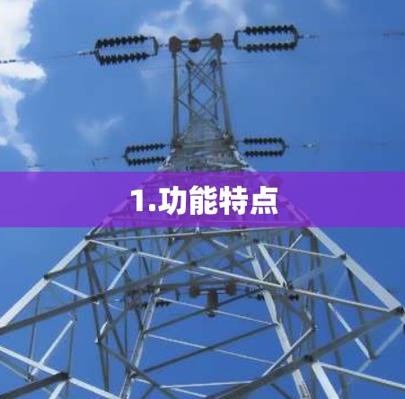 1.功能特点 1.功能特点