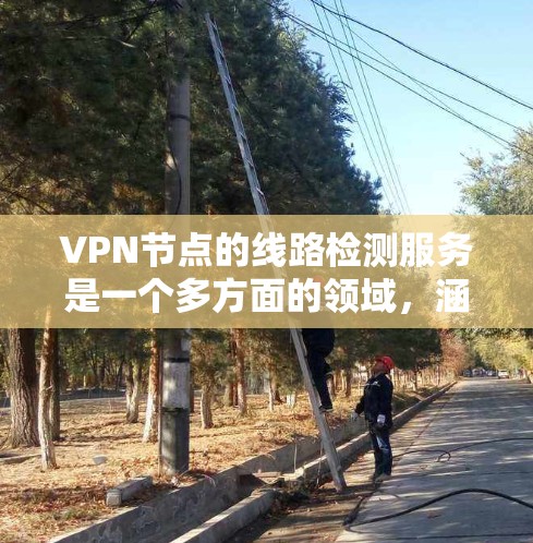 <strong>VPN节点</strong>的线路检测服务是一个多方面的领域，涵盖了从设备检测到攻击检测的多个方面。以下是对该领域的详细分析和总结