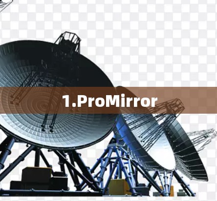 1.ProMirror