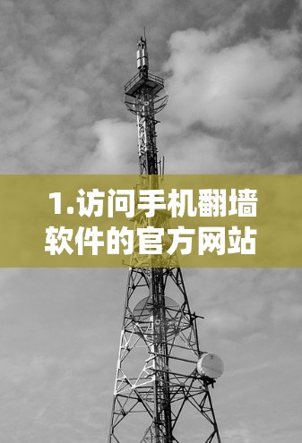 1.访问手机翻墙软件的官方网站