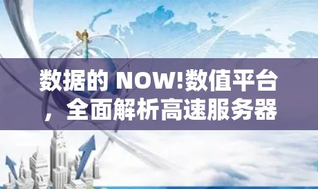 数据的 NOW!数值平台，全面解析高速服务器测速趋势