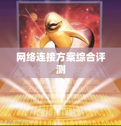 网络连接方案综合评测