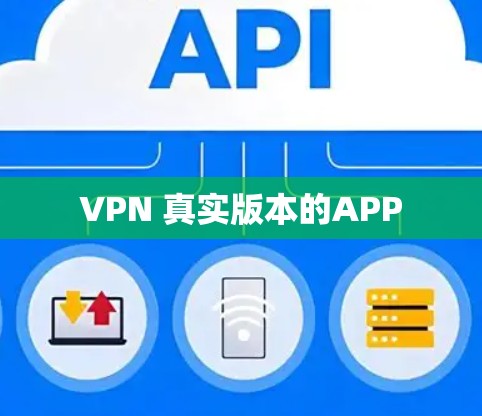VPN 真实版本的APP