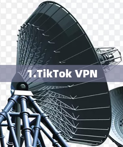1.TikTok VPN