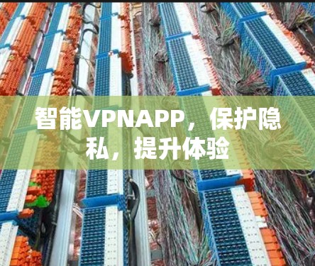 智能VPNAPP，保护隐私，提升体验